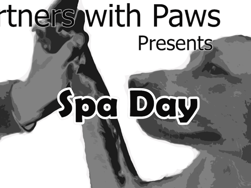 Spa-Day