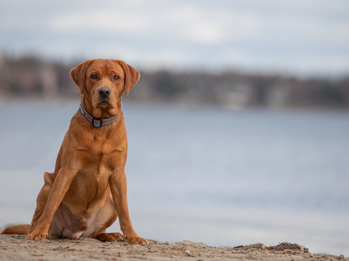 YOU made it&nbsp;happen!